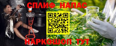 прущие грибы Новокубанск