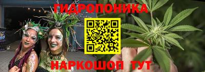 apvp Новодвинск