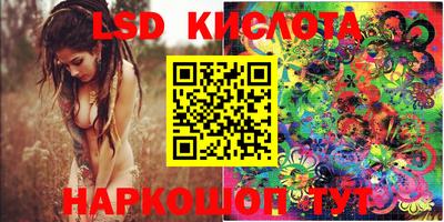 прущие грибы Новокубанск