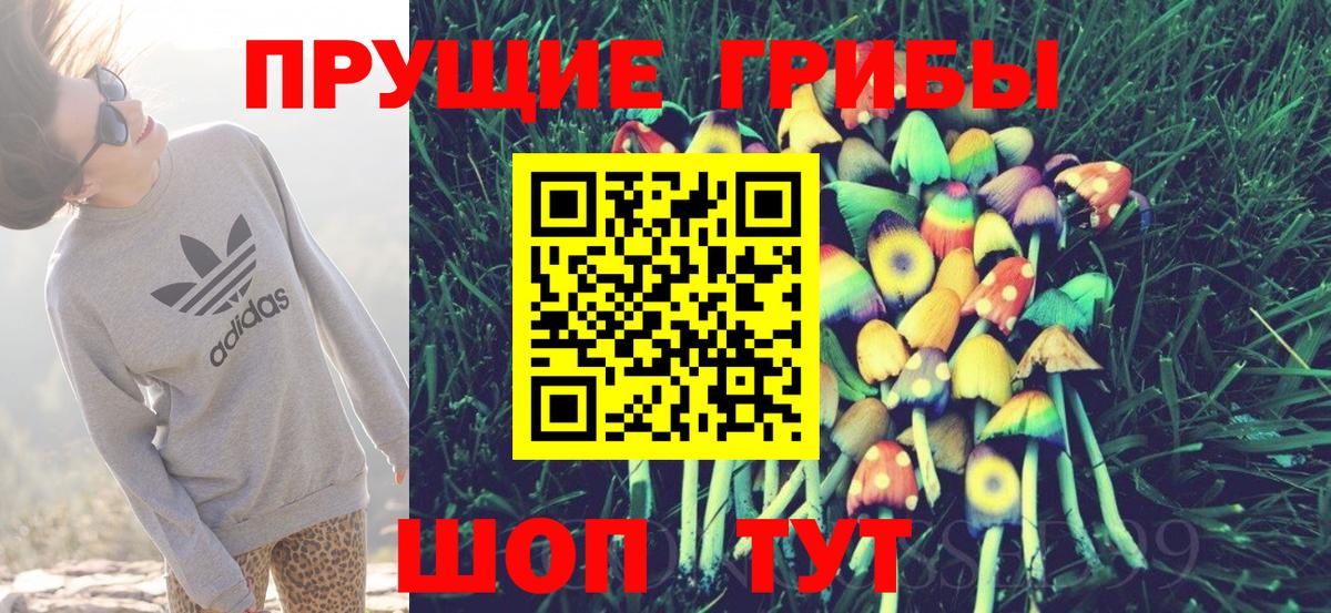 Реж  Псилоцибиновые грибы прущие грибы  Вход с VPN 